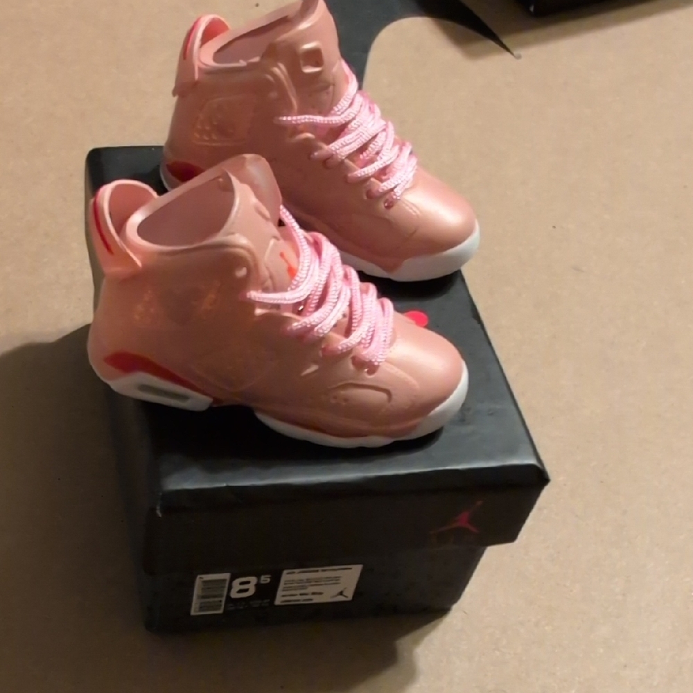 Jordan 6s Pink